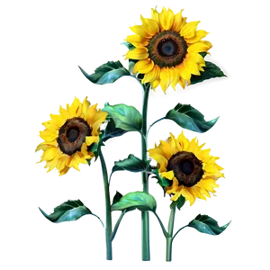 Yellow Sunflowers Png 06122024 PNG image