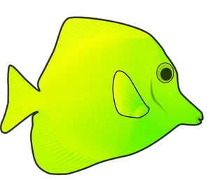 Yellow Tang Fish Illustration