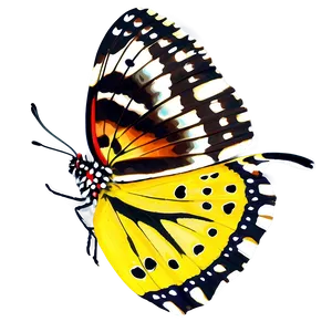 Yellow Tiger Butterfly Png Qsr95 PNG image