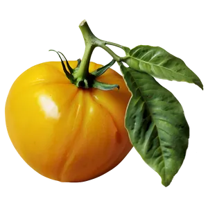 Yellow Tomato Png 7 PNG image