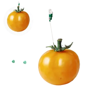 Yellow Tomato PNG 98