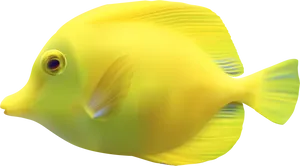 Yellow Tropical Fish Illustration