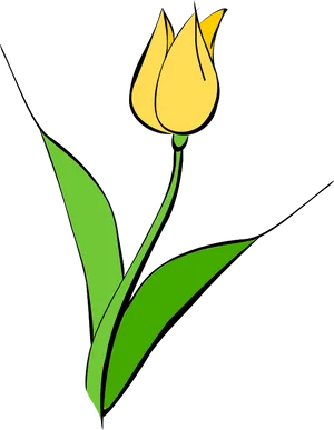 Yellow Tulip Vector Art PNG image