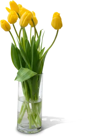 Yellow Tulipsin Glass Vase PNG