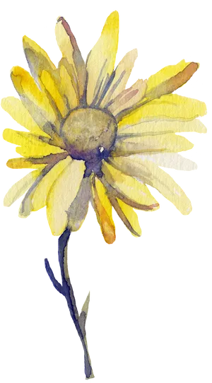 Yellow Watercolor Daisy.png PNG image