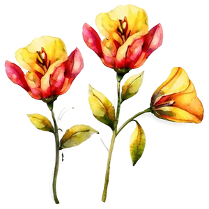 Yellow Watercolor Flowers PNG Toh4 PNG