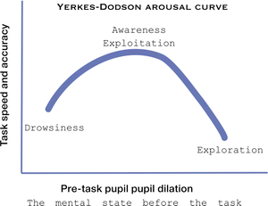 Yerkes Dodson Arousal Curve Graph PNG