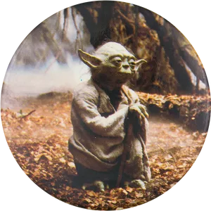 Yodain Dagobah Forest PNG