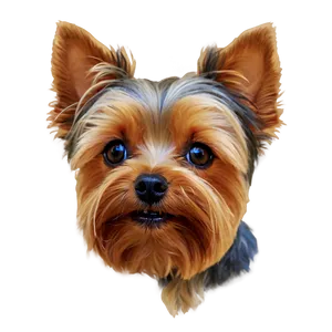 Yorkie Close-up PNG Kyc PNG