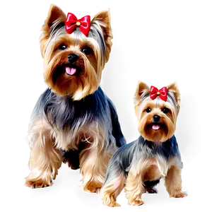 Yorkie Family Png 31 PNG image