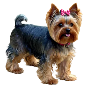 Yorkie In Park Png 31 PNG image