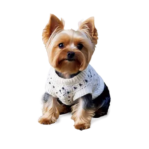 Yorkie In Sweater PNG Pmh