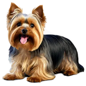 Yorkie Licking Png Gql31 PNG image