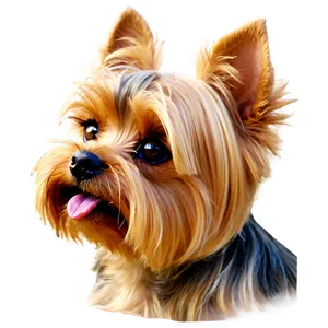 Yorkie Profile PNG 52