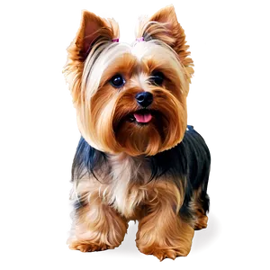 Yorkie Profile PNG 87