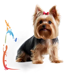 Yorkie Profile PNG Lin