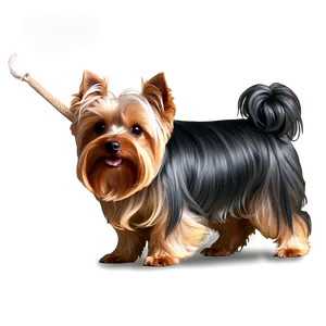 Yorkie Wagging Tail Png Yex99 PNG image