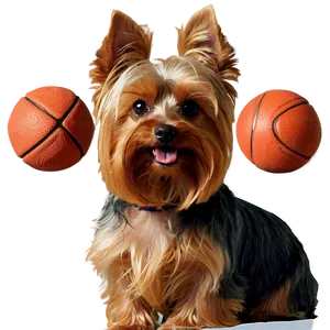 Yorkie With Ball PNG 6