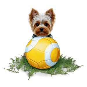 Yorkie With Ball Png Hvu61 PNG image