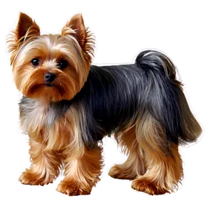 Yorkie With Flowers PNG 75 PNG