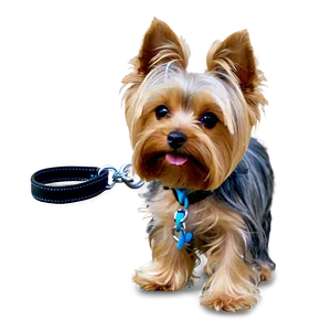 Yorkie With Leash Png Afj17 PNG image