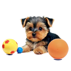 Yorkie With Toys Png 06242024 PNG image