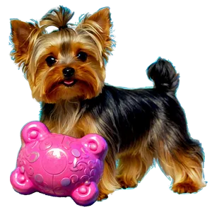 Yorkie With Toys PNG 06242024