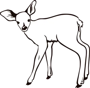 Young Deer Illustration PNG image
