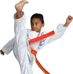 Young Karate Kid Performing High Kick PNG image