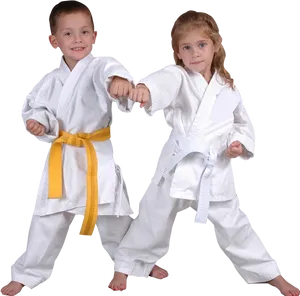 Young Karate Kids Posing PNG image