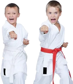 Young Karate Kids Practicing Punches PNG image
