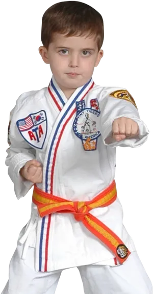 Young Karate Student Orange Belt Pose PNG image
