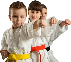 Young Karate Students Practicing Punches PNG image