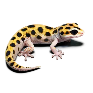 Young Leopard Gecko Png 88 PNG image