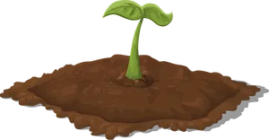 Young Plant Emerging From Soil