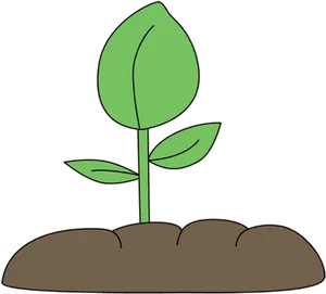 Young Plant Growingin Soil PNG image