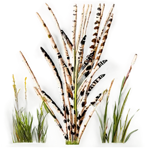 Zebra Grass Ornament Png 06212024 PNG image