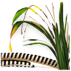 Zebra Grass Ornament Png 06212024 PNG image