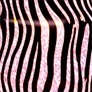 Zebra Print In Nature Png 06272024 PNG image