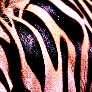 Zebra Print In Nature Png Kxj47 PNG image