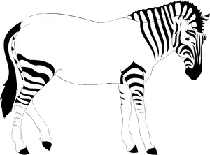 Zebra Side View Illustration PNG image