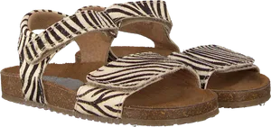 Zebra Stripe Platform Sandals PNG image