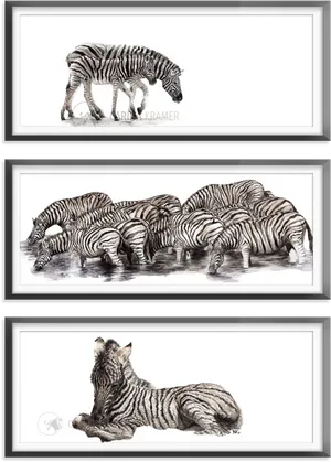 Zebra_ Triptych_ Artwork PNG image