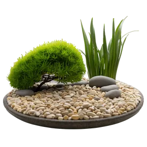 Zen Garden Plants PNG Nhi28 PNG