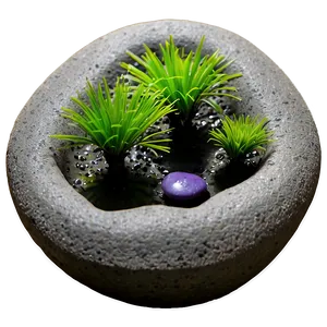 Zen Garden Plants PNG Qde25 PNG