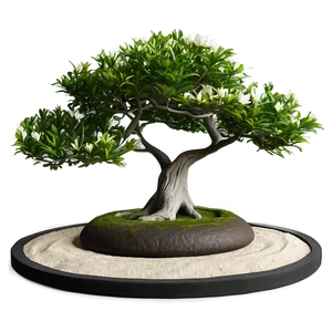 Zen Garden With Magnolia Tree PNG Jyv