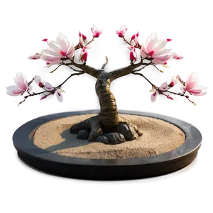 Zen Garden With Magnolia Tree PNG Kwr