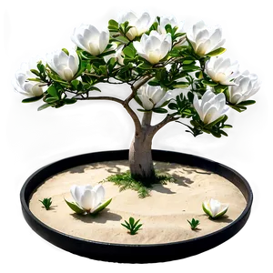Zen Garden With Magnolia Tree PNG Nlw PNG