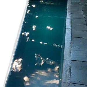 Zen Inspired Swimming Pool PNG 06122024 PNG