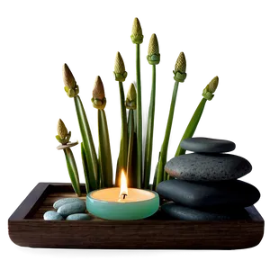 Zen Meditation Altar PNG 06242024 PNG